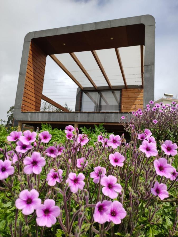 Calheta Glamping Pods - Nature Retreat Екстер'єр фото