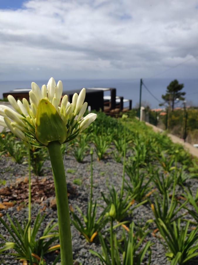 Calheta Glamping Pods - Nature Retreat Екстер'єр фото